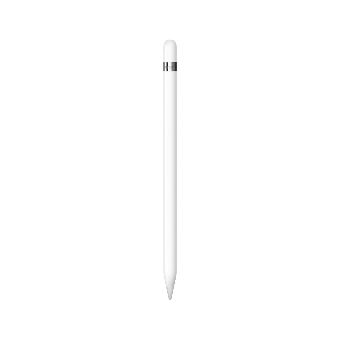 Apple Pencil (1st Generation) - Includes USB-C to Apple Pencil Adapter unboxed)