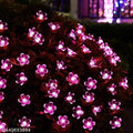 Ujjwanix 36 LED Flower String Lights – 32 Feet Decorative Fairy Lights | Pink Floral Lights for Home, Garden, Diwali, Christmas & Festive Décor